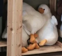 Большой плюшевый гусь